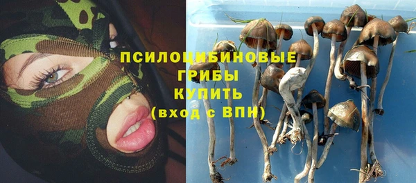 круглые Няндома
